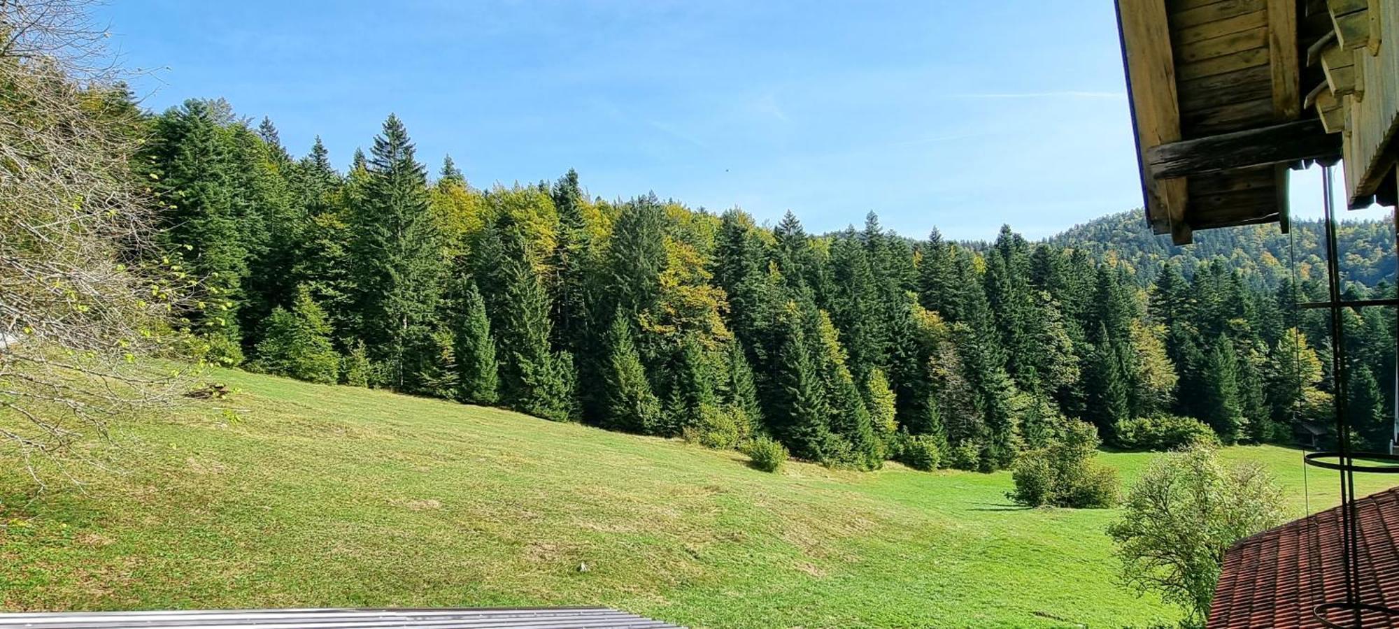Planinski Dom Na Travni Gori Sodrazica Exterior photo