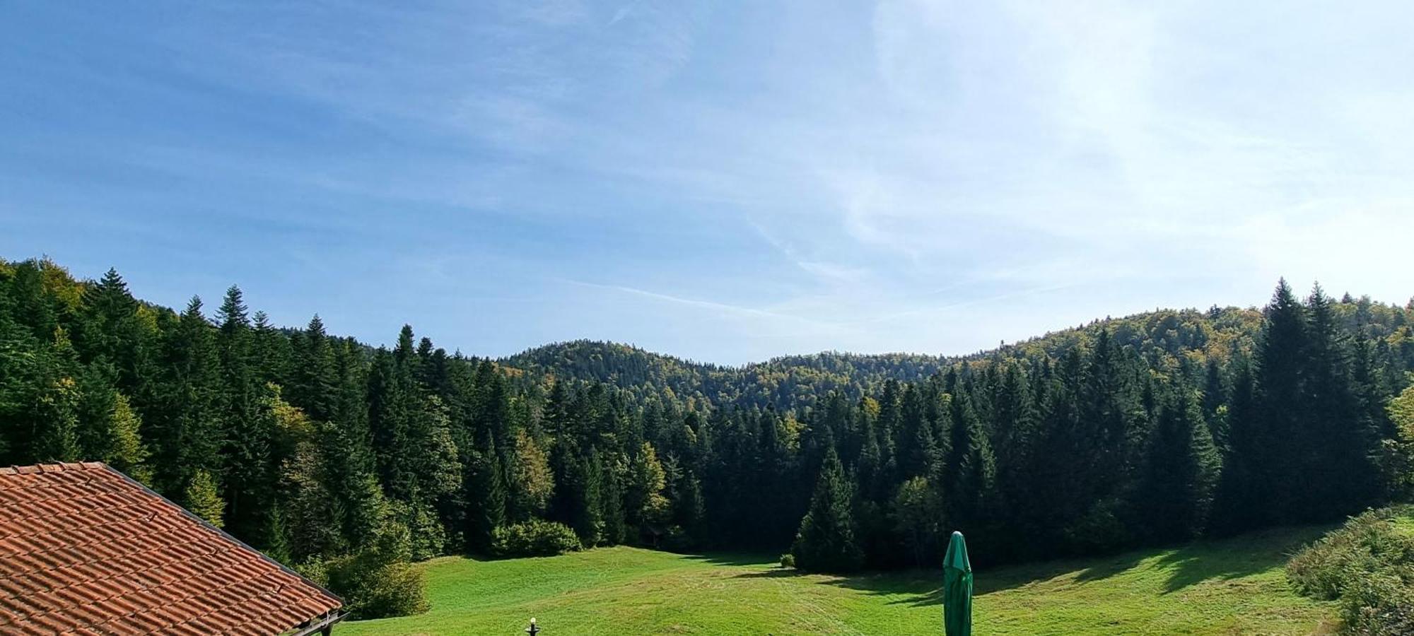 Planinski Dom Na Travni Gori Sodrazica Exterior photo